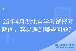 25年4月湖北自學(xué)考試報考期間，容易遇到哪些問題？