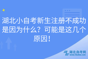 湖北小自考新生注冊(cè)不成功是因?yàn)槭裁矗靠赡苁沁@幾個(gè)原因！