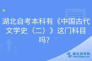 湖北自考本科有《中國古代文學(xué)史（二）》這門科目嗎？