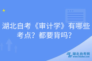 湖北自考《審計(jì)學(xué)》有哪些考點(diǎn)？都要背嗎？