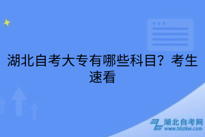 湖北自考大專有哪些科目？考生速看