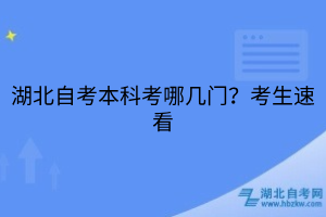 湖北自考本科考哪幾門？考生速看