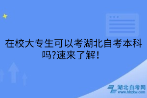 在校大專生可以考湖北自考本科嗎?速來了解！
