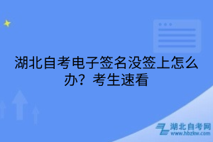 湖北自考電子簽名沒(méi)簽上怎么辦？考生速看