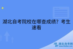 湖北自考院校在哪查成績？考生速看