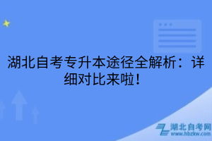 湖北自考專升本途徑全解析：詳細(xì)對(duì)比來(lái)啦！