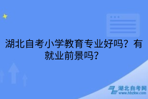 湖北自考小學教育專業(yè)好嗎？有就業(yè)前景嗎？