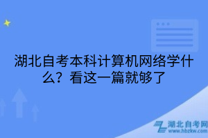 湖北自考本科計(jì)算機(jī)網(wǎng)絡(luò)學(xué)什么？看這一篇就夠了