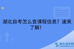 湖北自考怎么查課程信息？速來了解！