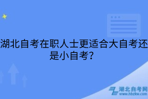 湖北自考在職人士更適合大自考還是小自考？