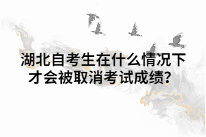 湖北自考生在什么情況下才會被取消考試成績？