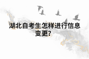 湖北自考生怎樣進行信息變更？