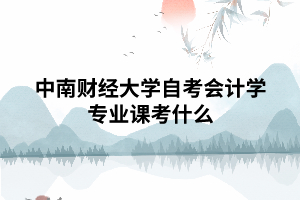中南財(cái)經(jīng)大學(xué)自考會(huì)計(jì)學(xué)專業(yè)課考什么 中南財(cái)經(jīng)大學(xué)自考會(huì)計(jì)學(xué)專業(yè)課考什么