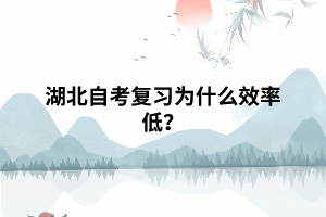 湖北自考復(fù)習(xí)為什么效率低？