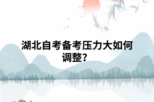自考備考?jí)毫Υ笕绾握{(diào)整？