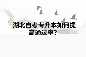 湖北自考專升本如何提高通過率？