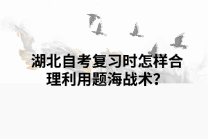 湖北自考復(fù)習(xí)時(shí)怎樣合理利用題海戰(zhàn)術(shù)？