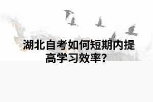 湖北自考如何短期內(nèi)提高學(xué)習(xí)效率？