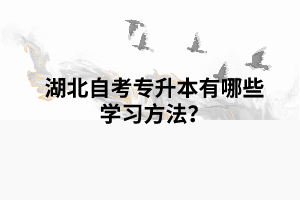 湖北自考專升本有哪些學(xué)習(xí)方法？
