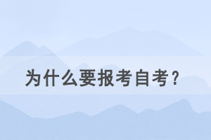 為什么要報(bào)考自考作為第二學(xué)歷？