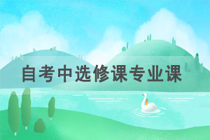 自考中選修課，專業(yè)課，加考，選考是什么意思？