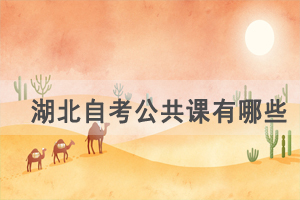 武漢理工大學(xué)自考公共課有哪些，專業(yè)課和選考課難度怎樣？
