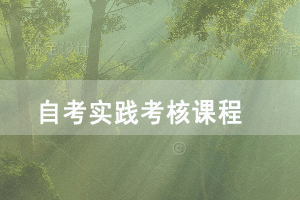 2021年湖北自考外貿(mào)英語專業(yè)面向社會開考的實踐考核課程是什么？