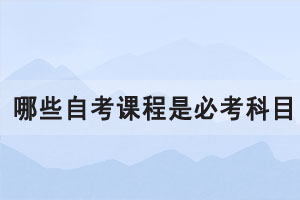 自考本科有多難，哪些自考課程是必考科目？