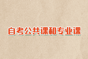 自考公共課和專業(yè)課各有多少門課程要考？