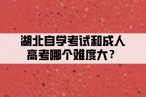 湖北自學(xué)考試和成人高考哪個難度大？