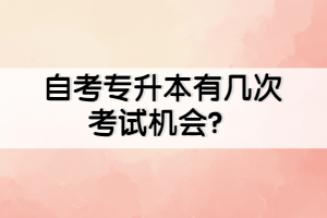 自考專升本有幾次考試機會？