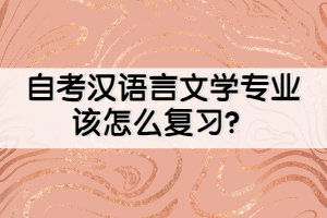 自考漢語言文學(xué)專業(yè)該怎么復(fù)習(xí)？