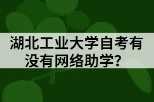 湖北工業(yè)大學自考有沒有網(wǎng)絡(luò)助學？