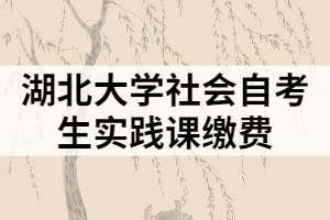 湖北大學社會自考生實踐課繳費