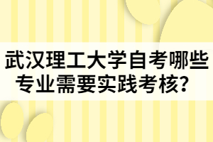 武漢理工大學(xué)自考哪些專業(yè)需要實(shí)踐考核？
