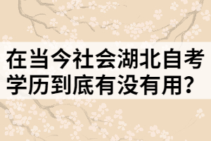 在當(dāng)今社會湖北自考學(xué)歷到底有沒有用？