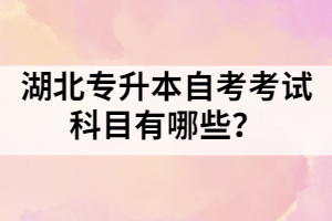 湖北專(zhuān)升本自考考試科目有哪些？