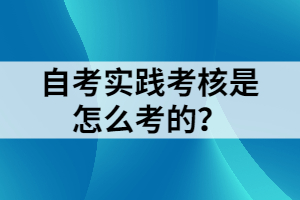 自考實踐考核是怎么考的？