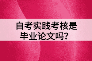 自考實(shí)踐考核是畢業(yè)論文嗎？