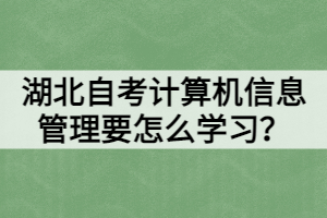湖北自考計(jì)算機(jī)信息管理要怎么學(xué)習(xí)？