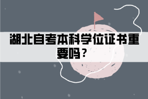 湖北自考本科學(xué)位證書重要嗎？