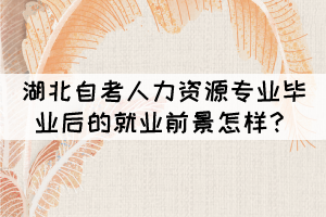 湖北自考人力資源專業(yè)畢業(yè)后的就業(yè)前景怎樣？