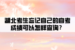 湖北考生忘記自己的自考成績可以怎樣查詢？
