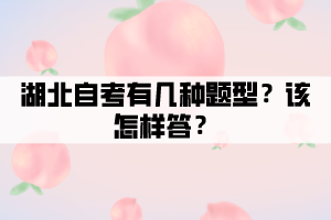 湖北自考有幾種題型？該怎樣答？