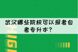 武漢哪些院校可以報考自考專升本？