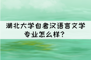 湖北大學(xué)自考漢語言文學(xué)專業(yè)怎么樣？