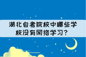 湖北自考院校中哪些學校沒有網(wǎng)絡學習？