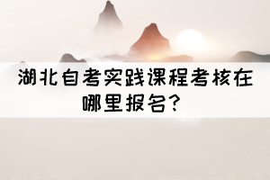 湖北自考實(shí)踐課程考核在哪里報(bào)名？