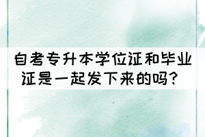 自考專升本學(xué)位證和畢業(yè)證是一起發(fā)下來的嗎？