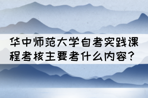 華中師范大學(xué)自考實(shí)踐課程考核主要考什么內(nèi)容？